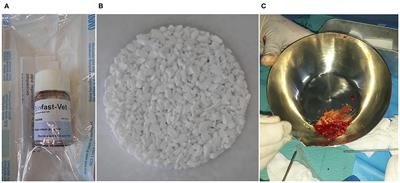 Application of Shark Teeth–Derived Bioapatites as a Bone Substitute in Veterinary Orthopedics. Preliminary Clinical Trial in Dogs and Cats